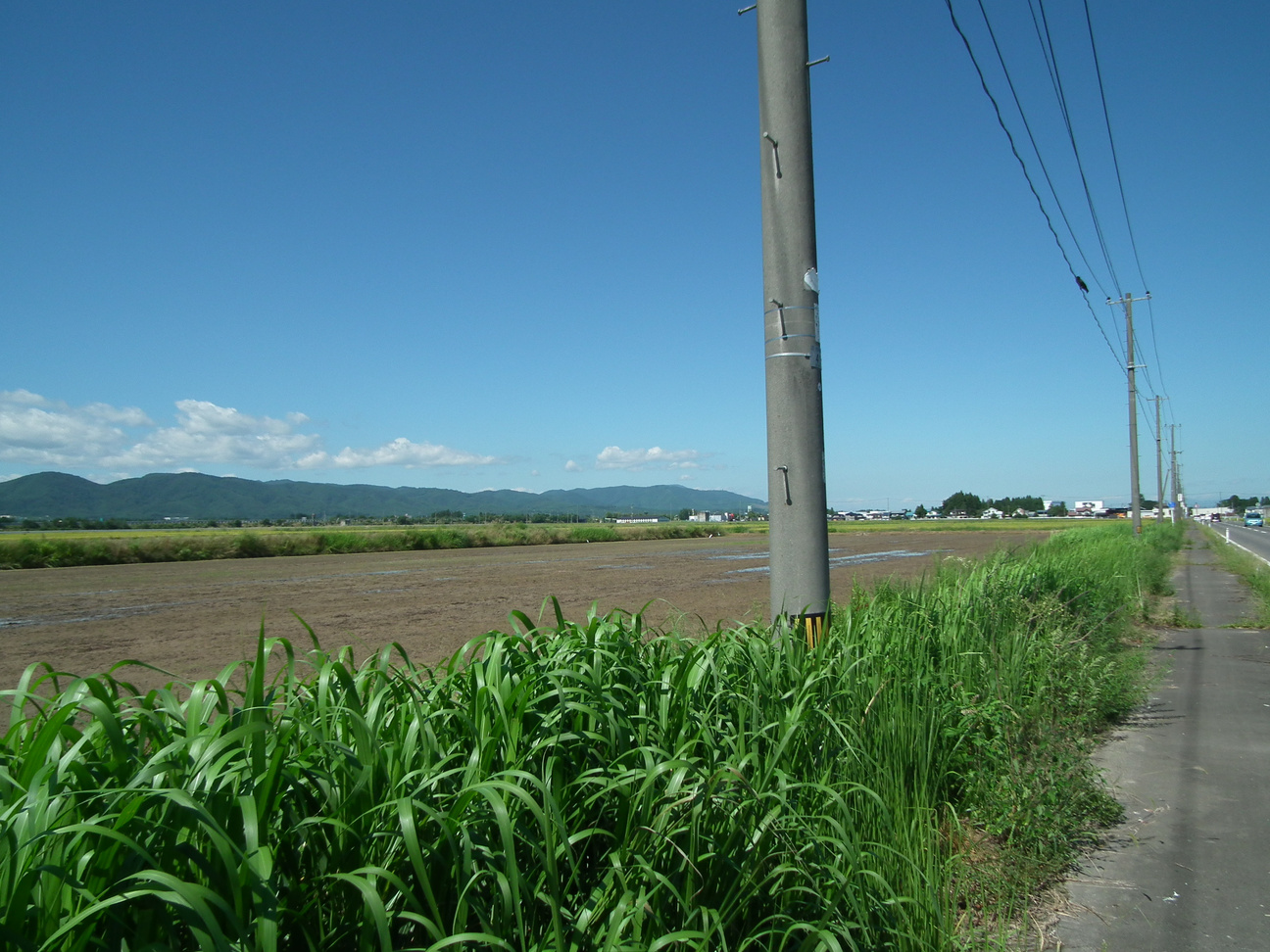 Ssdscf0102 Ssdscf0102